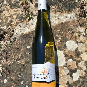 Riesling - Domaine De L’envol - bernard-manuela-daniel-raphael-catherine-hirsinger