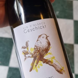 Riesling Holderbaum - Domaine Geschickt - arnaud-geschickt-aurelie-fayolle
