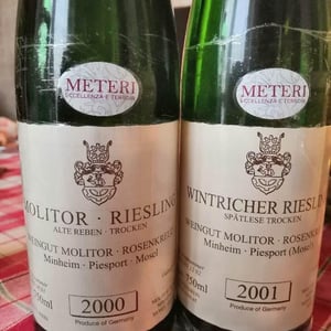 Riesling Kabinett - Weingut Molitor - markus-molitor