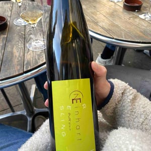 Riesling - Domaine Einhart - Nicolas & Théo EINHART 