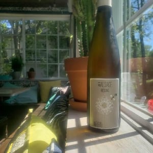 Riesling - Vincent Fleith - brigitte-et-vincent-fleith