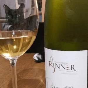Riesling Les Salon des Bains - Domaine Christian Binner - christian-binner-et-son-equipe