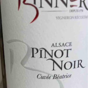 Riesling Les Salon des Bains - Domaine Christian Binner - christian-binner-et-son-equipe