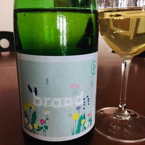 Riesling - Brand Bros - Weingut Brand - Daniel & Jonas Brand 