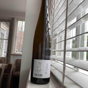 Brand Bros - Weingut Brand - Daniel & Jonas Brand - Riesling Pur