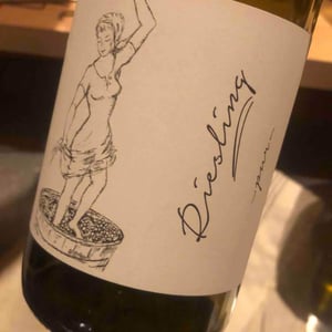Brand Bros - Weingut Brand - Daniel & Jonas Brand - Riesling Pur