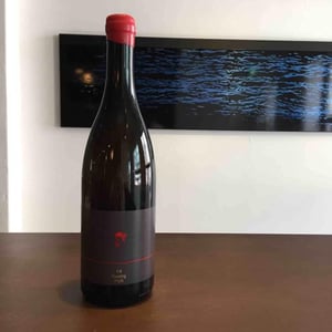 Riesling Pur - Matthias Hager - matthias-hager