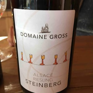 Riesling Steinberg - Domaine Gross - Rémy & Vincent Gross 