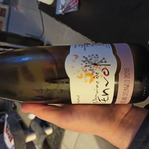 Riesling Steinweg - Domaine De L’envol - Bernard, Manuela, Daniel, Raphaël & Catherine Hirsinger 