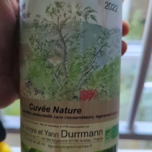 Riesling Sur Grès - Anna, André & Yann Durrmann - anna-andre-yann-durrmann