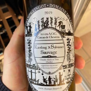 Riesling X Sylvaner Sauvage - Domaine des Champs-Lingots - Claude-Alain Chollet 