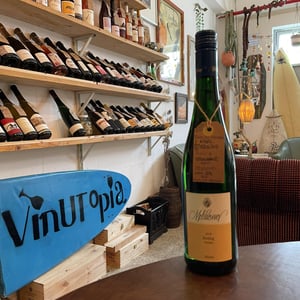 Riesling Trocken - Weingut Thorsten Melsheimer - thorsten-melsheimer