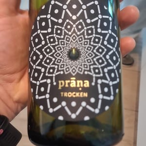 Riesling trocken - Weingut Prāṇa - Cosima Lindenau & Niklas Eisenacher 