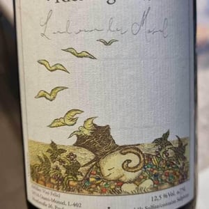 Riesling "Landwein der Mosel" - Vini Felici & Casa Nika - Felix Sebastian 