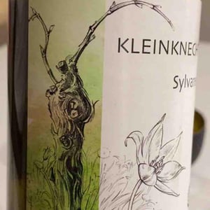 Riesling - Domaine Kleinknecht - André Kleinknecht 