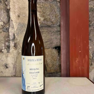 Riesling X Sylvaner - Domaine de Beudon - marion-granges-fayss