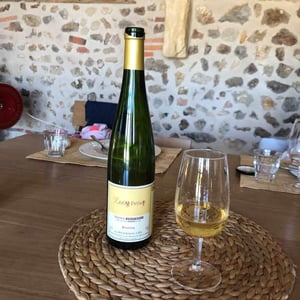 Riesling Zéroo Défault - Gérard Schueller & Fils - bruno-schueller