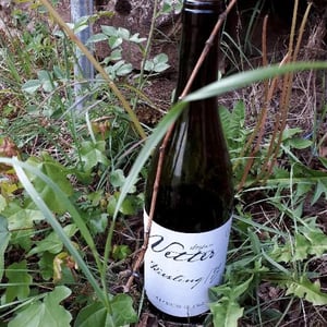 Riesling - In Vino Vita - Stefan Vetter 
