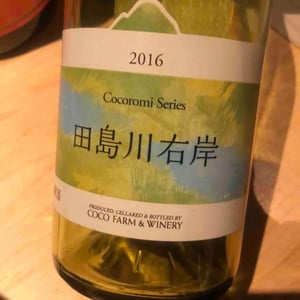 田島川右岸 Tajimagawa Ugan - Coco Farm & Winery - Romain Weinstock & Toyoichiro Shibata -2021