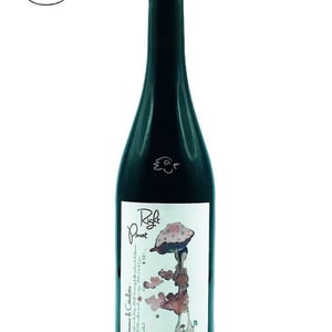 Right Pinot - Domaine de la Côtelette - sandra-et-benoit-kilian