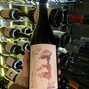 Right Pinot - Domaine de la Côtelette - sandra-et-benoit-kilian