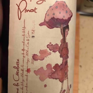 Right Pinot - Domaine de la Côtelette - Sandra et Benoît Kilian 