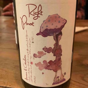 Right Pinot - Domaine de la Côtelette - Sandra et Benoît Kilian 