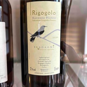 Rigogolo - Azienda Agricola Bragagni Andrea - Andrea Bragagni 