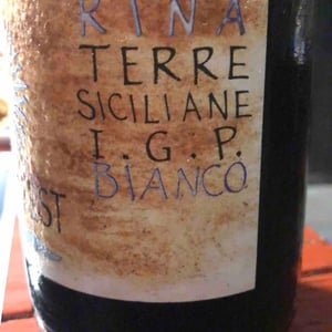 Rina - Viteadovest - vincenzo-angileri-qu