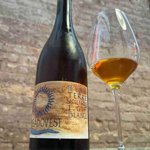 Rina - Viteadovest - Vincenzo Angileri 