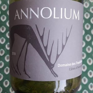Annolium Rouge - Domaine Des Trouillères - camille-mikael-hyvert