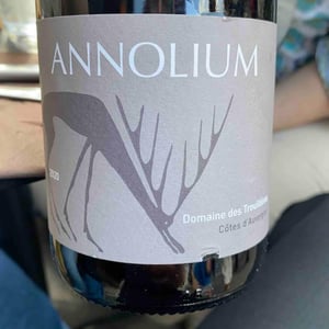 Annolium Rouge - Domaine Des Trouillères - Camille & Mikael Hyvert 