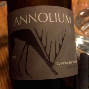 Annolium Rouge - Domaine Des Trouillères - Camille & Mikael Hyvert 