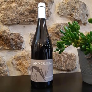 Annolium Rouge - Domaine Des Trouillères - Camille & Mikael Hyvert 
