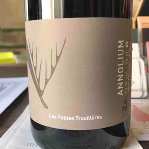 Annolium Rouge - Domaine Des Trouillères - Camille & Mikael Hyvert 