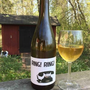 Ring Ring - Barranco Oscuro - Manuel & Lorenzo Valenzuela 