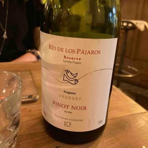 Rio de los pajaros - 
