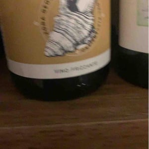 Rio Lupo - Azienda Vitivinicola Saccomani - Saccomani Giuseppe, Luca e Claudia 