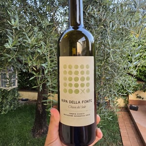 Ripa della fonte - Cantina Margò - Carlo Tabarrini -2020