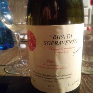 Fontana dei Boschi - Vittorio Graziano - Ripa di Sopravento