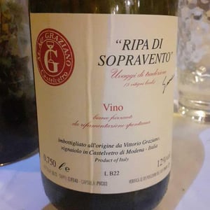 Ripa di Sopravento - Fontana dei Boschi - Vittorio Graziano 