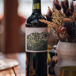 Riptide - Domaine Cotzé - wilfried-garcia -2021