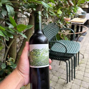 Riptide - Domaine Cotzé - wilfried-garcia -2021