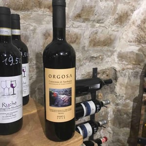 Riserva di Cannonau 2016