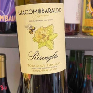 Risveglio - Giacomo baraldo - Giacomo Baraldo -2022