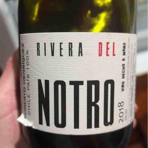 Rivera del Notro - Pais - Roberto Henriquez - Roberto Henriquez 