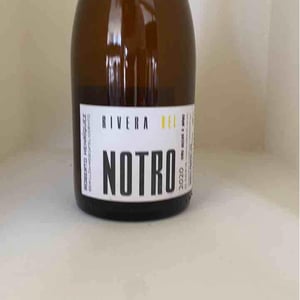 Rivera del Notro - Pais - Roberto Henriquez - roberto-henriquez