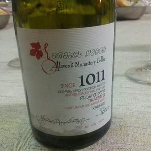 Rkatsiteli 2010