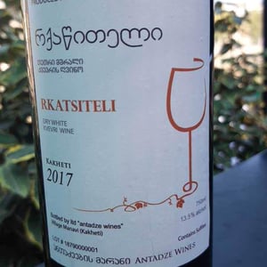 Rkatsiteli - Antadze wines ანთაძეების მარანი - Nikoloz Antadze 
