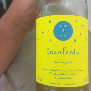 Insolente Vini - Luca Elettri - Vino Frizzante